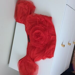 Asos Design Red Rose Chiffon‎ Puff Sleeve Square Neck Crop Top Size M